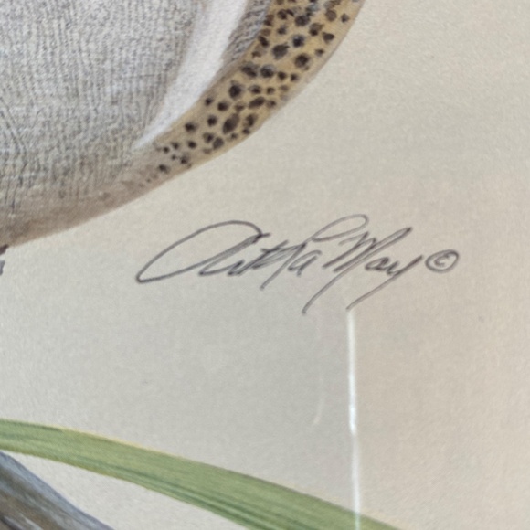 Art La May 3x framed prints with glass: Water Pair, Green Winged, Canvas Back. - Picture 8 of 16